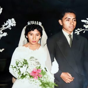 restauración básica